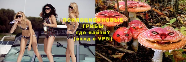 ALPHA PVP Кинешма