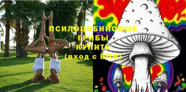 прущий лед Киренск