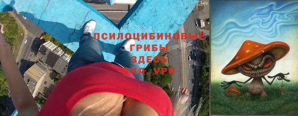 ALPHA PVP Кинешма
